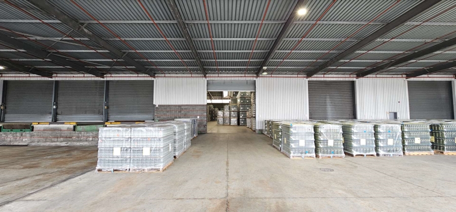To Let commercial Property for Rent in Parow Industrial Western Cape